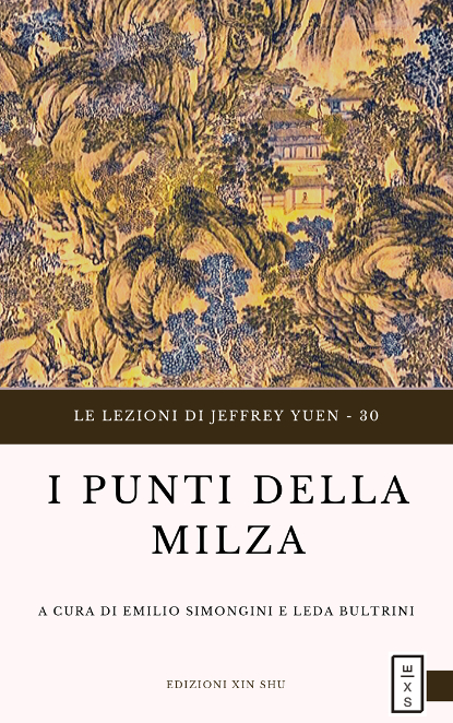 31 - Lezioni Jeffrey Yuen - I punti della Milza