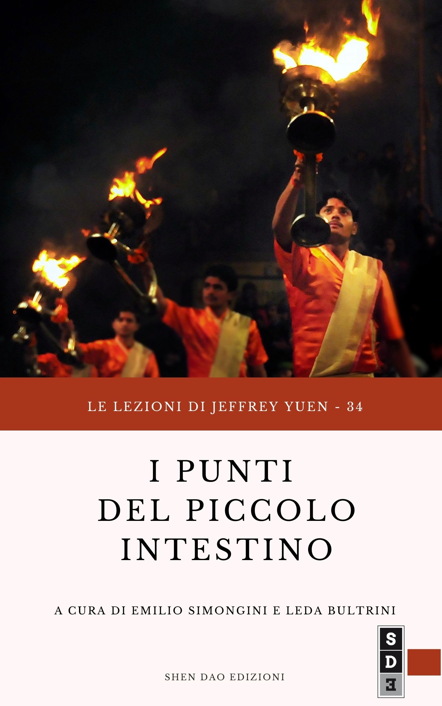 33 - Lezioni Jeffrey Yuen - I punti del piccolo intestino