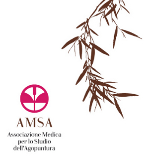 logo AMSA